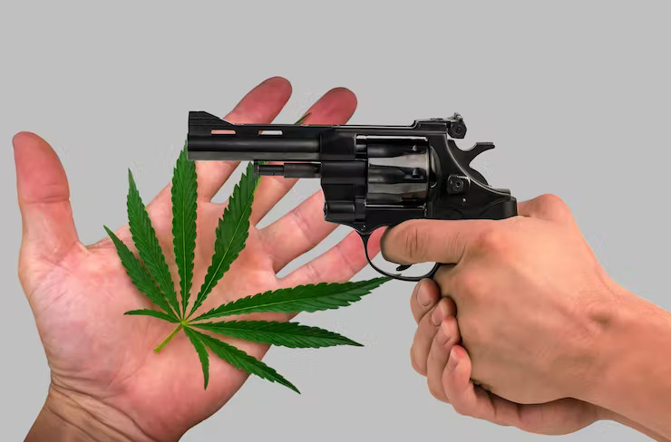 House Republicans get early jump on marijuana bills for gun owners and veterans