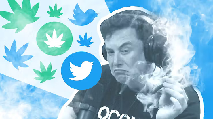 Twitter now allows ads for cannabis and THC products