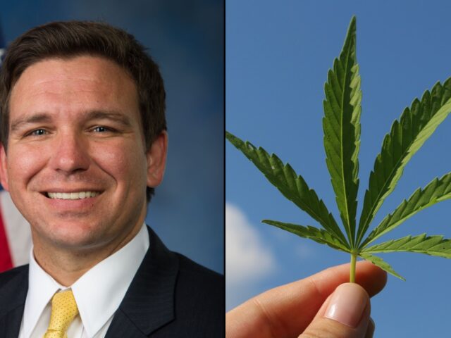 DeSantis Says Marijuana Legalization Will Be On Florida Ballot Following Court Review